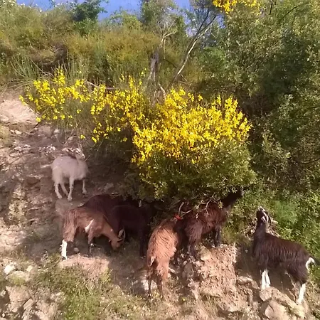 La Ferme Du Maquis 度假居 *