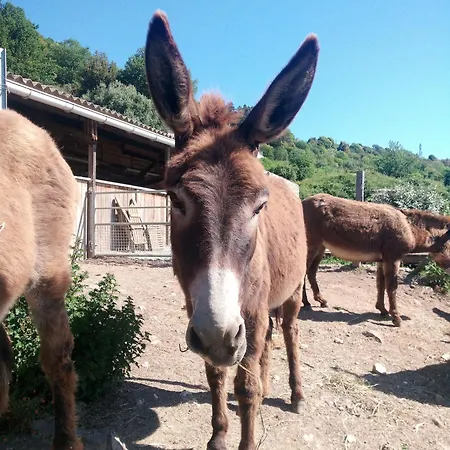 La Ferme Du Maquis